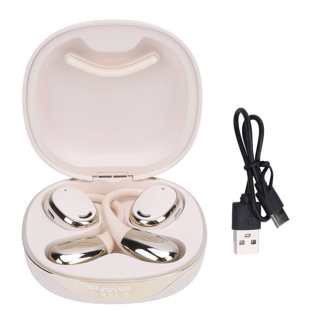 Language Translator Earbuds 144 Languages Online 8320539920597