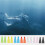Flexible Swimming Training Fin Swim Flippers Travel-Blue M code 3