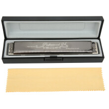 Professional 24-Hole Diatonic Harmonica D Key Black/Gold, Brass Base