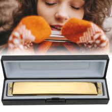 Professional 24-Hole F Key Diatonic Harmonica with Brass & Steel Components