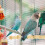 2pcs Parrot Perch Bamboo Standing Chewing Stick Toy 7