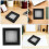 Insect Display Case - Butterfly Specimen Shadow Box Entomology Frame 9
