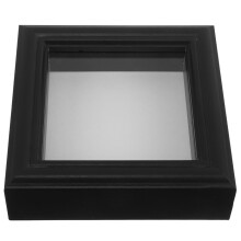 Insect Display Case - Butterfly Specimen Shadow Box Entomology Frame