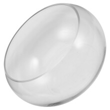 2pcs Clear Glass Fish Bowl Planter for Hydroponic Plants