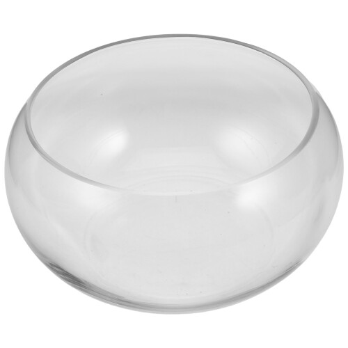 2pcs Clear Glass Fish Bowl Planter for Hydroponic Plants 1