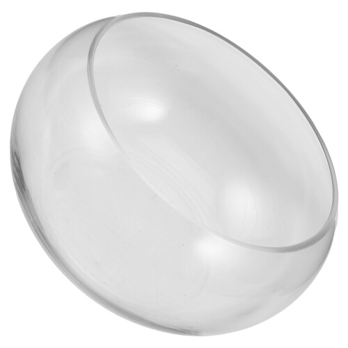2pcs Clear Glass Fish Bowl Planter for Hydroponic Plants 2