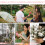 200 Pcs Artificial Chrysanthemums Wedding Decorative Flowers 11
