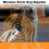 Dual Sensor Anti-Barking Device, 1000mAh, Silver/Black 6