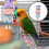 2pcs Bird Parrot Teething Toy Calcium Stone with Bell 4