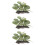 3pcs Aquarium Landscape Ornament Simulation Plant 10