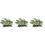 3pcs Aquarium Landscape Ornament Simulation Plant 6