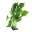 2pcs Artificial Underwater Plant Aquarium Ornament 11