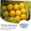 Square Thickened Plastic Wash Basin 10L for Household Use Lightweight Multipurpose Dish Pan Compact Space Saving Design 2