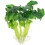 15 Pcs Aquarium Artificial Plants Fish Tank Accessories 1