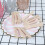 100pcs Wooden Cake Picnic 6