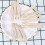100pcs Wooden Cake Picnic 5