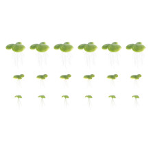 216 Pcs Mini Fake Duckweed Simulation Floating Plant