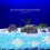 1000 Pcs Glowing Aquarium Rocks Stones 7