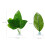 16 Pcs Betta Bed Leaf Hammock Fish Hideout Plastic Plants 8