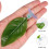 16 Pcs Betta Bed Leaf Hammock Fish Hideout Plastic Plants 9