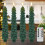 4PCS Christmas Tree LED Candles with Remote Timer 1