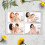 2pcs Transparent Stamp Storage Book Photo Organizer 9