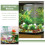 3pcs Decorative Polished Rocks for Plant Pots 8