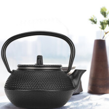 Cast-Iron Tea Pot 0.3L with Strainer Traditional Japanese Design Black