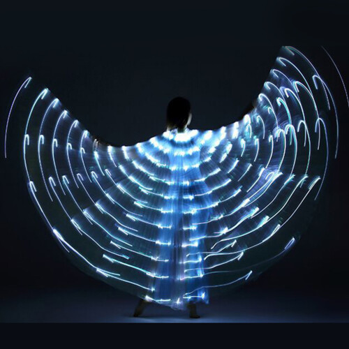 Aile lumineuse à LED de 9,8 pieds, polyester blanc, 3 piles AA 1