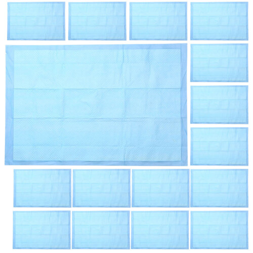 100 Pcs Disposable Dog Pee Pads Quick-Dry Puppy Training 1