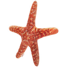 Sea-Star Plush Pillow Ocean Bedding Decor