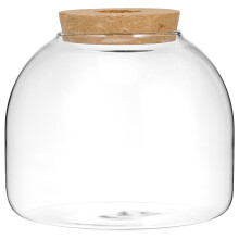 4pcs Glass Terrarium Jar with Wood Stopper for Hydroponic Plants