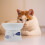 Ceramic Cat Bowl Wear-Resistant Kitten Feeding Bowl 7