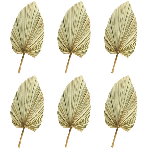 6 Pcs Natural Dried Cattail Leaf Palm Decor 2
