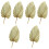 6 Pcs Natural Dried Cattail Leaf Palm Decor 7