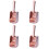 4pcs Cat Litter Scoop Pet Clean Tool 5
