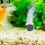 4pcs Aquarium Air Stones for Fish Tank Oxygenation 4