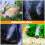 4pcs Aquarium Air Stones for Fish Tank Oxygenation 6