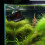 Aquarium Circulation Pump with 8