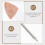 5pcs Ballpoint Pen Calligraphy Writing Plume Pen 7