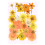 80 Pcs Natural Dried Pressed Flowers 1