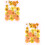 80 Pcs Natural Dried Pressed Flowers 6