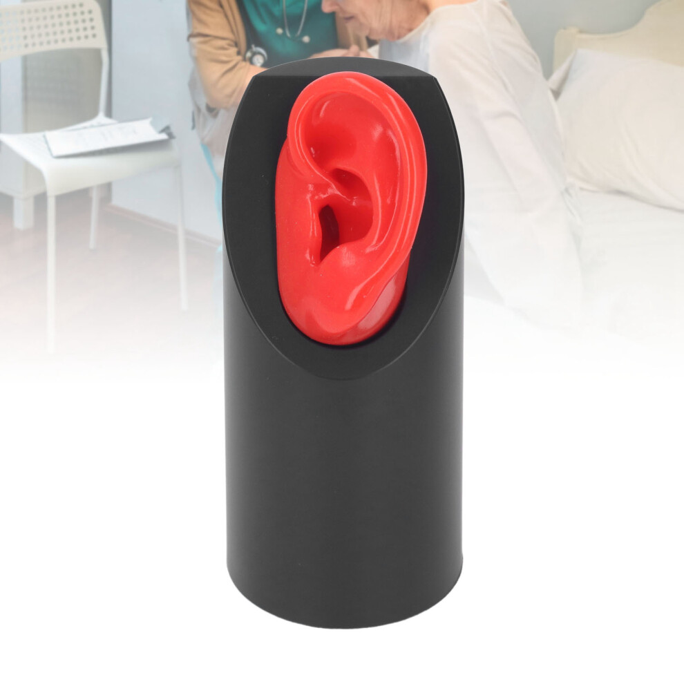 Silicone Ear Model Piercing Practice Left Ear with Display Stand