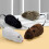 8pcs Wind Up Mice Cat Toys Plush Interactive Mice 5