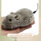 8pcs Wind Up Mice Cat Toys Plush Interactive Mice 11