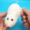 8pcs Wind Up Mice Cat Toys Plush Interactive Mice 6