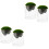 4 Pcs Moss Bottle Micro Landscape DIY Glass Bottle Decor 3