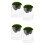 4 Pcs Moss Bottle Micro Landscape DIY Glass Bottle Decor 5