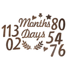 1 Set Baby Wood Monthly Milestone Photo Props
