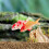 3pcs Artificial Koi Fish Floating Ornaments for Aquarium Pond 5